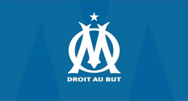 Aperçu du projet OM